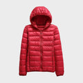 Leonor - Abrigo entre-estaciones